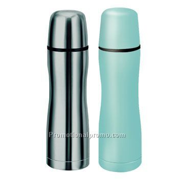 Insulated water bottle