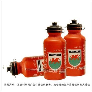 Cheap Gift Sport Water Bottle