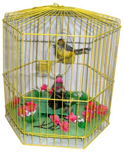 bird cages