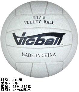 Vicball  Volleyball