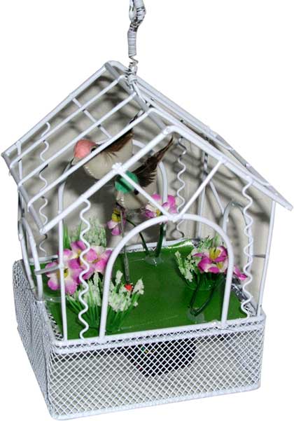 bird cages