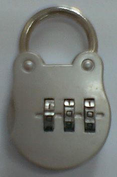 intelligentized lock