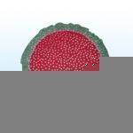 christmas tree skirt