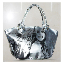 Fashion Handbag