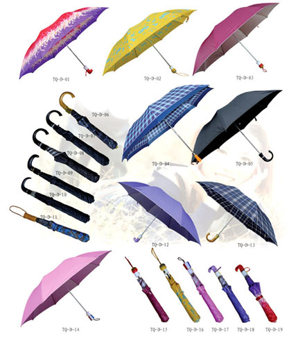 2 Fold Umbrella