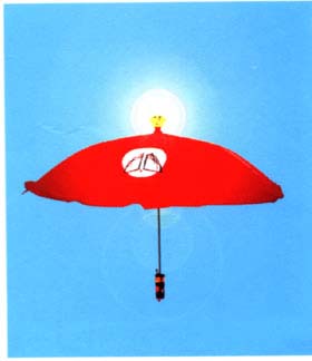 Advertising Umbrella