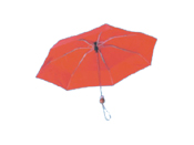 Tow fold Umbrella