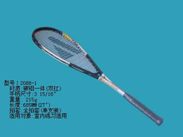 carbon  aluminium tennis