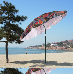 Beach umbrella