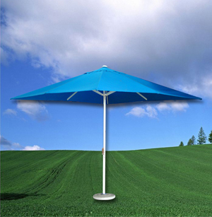 Court Umbrella Series