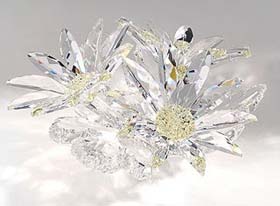 Chrysanthemum CRYSTAL