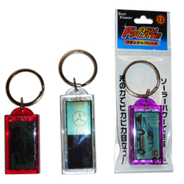 Souvenir plate keychain