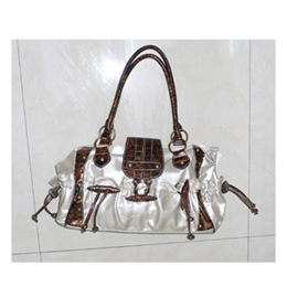 Fashion lady bag