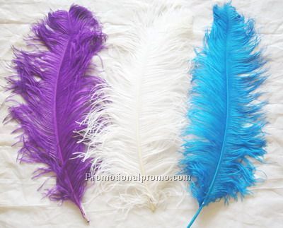 Ostrich male wing feathers