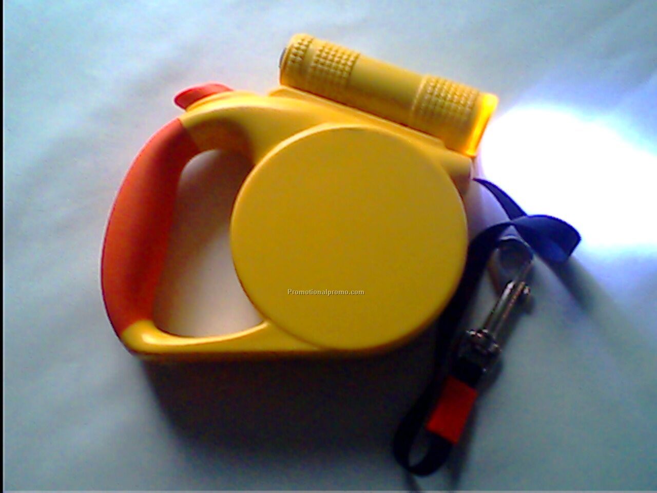 Dog leash with torch