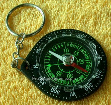 Pocket compass