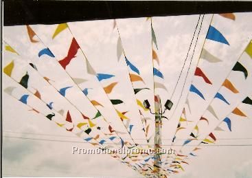 Advertising Peanant flag