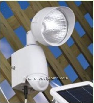 Solar sensor lamp