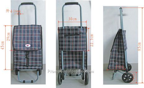 Pulling Traveling Bag