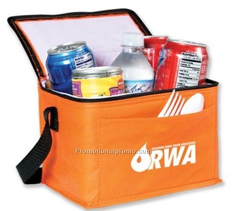 Non Woven Insulated Cooler Bag